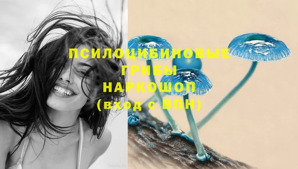 марки nbome Белокуриха