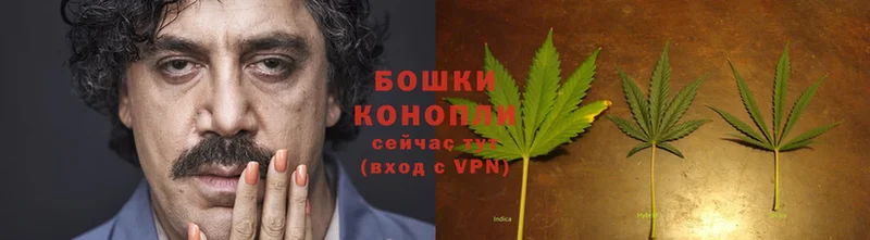 Каннабис SATIVA & INDICA  где купить   kraken ТОР  Кораблино 